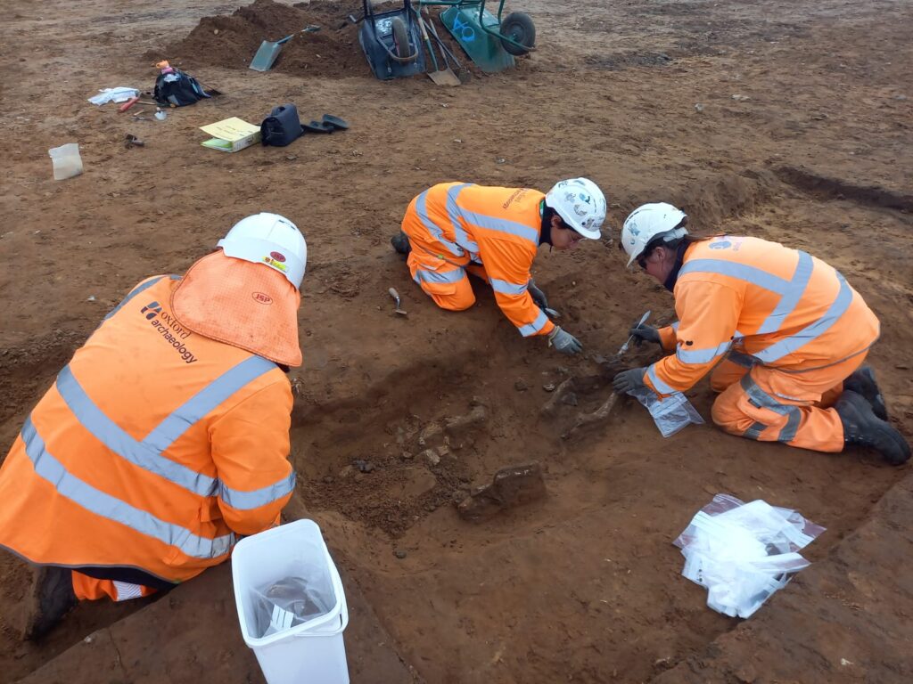 Three archaeologists are kneeling around a partially uncovered burial. One staff member is in towards the feet of the burial in the left of the frame; the other two staff members are kneeling by the head of the burial in the right of the frame.