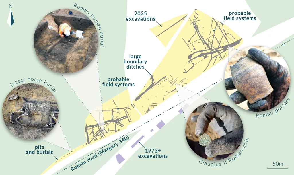 This map shows the Roman features found on site at Wickham Market. This includes field systems, boundary ditches and burials. Surrounding the excavation plan are four images. Top left - a staff member is knelt down excavating a horse burial. Bottom left - the skeletal remains of the buried horse, the horse lies on its right side with its legs curled under it. Top right - a small vase base, the top has broken off. Bottom right - a hand holds a decorated Claudius II Roman coin