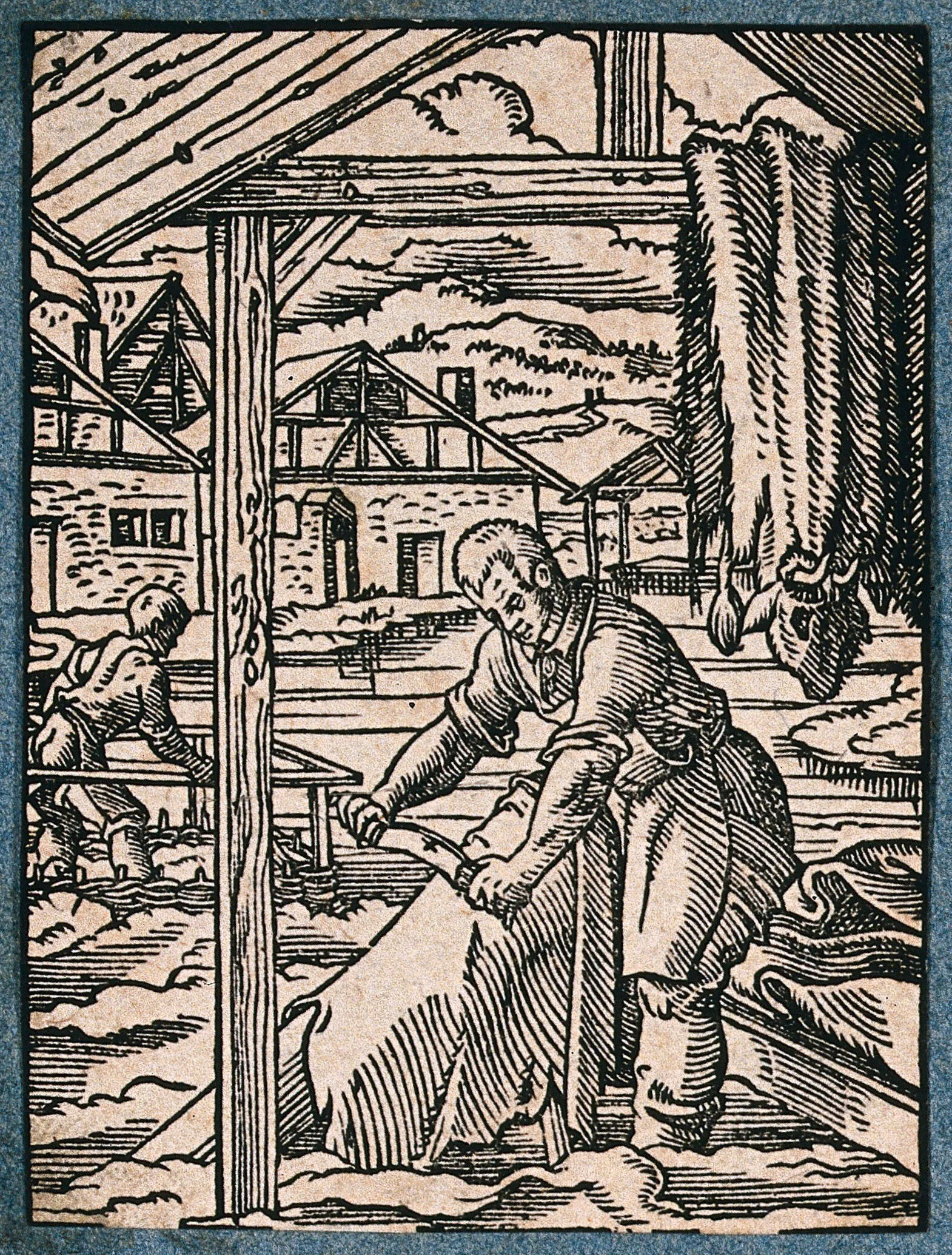 16th century wood cut image of tanner