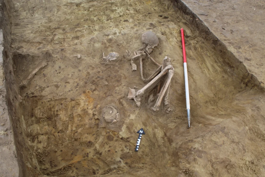 A crouched skeleton facing right.