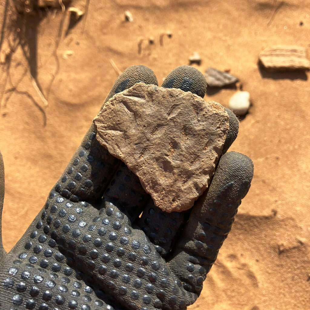 Image of a piece of beaker style pottery displayed on a gloved hand