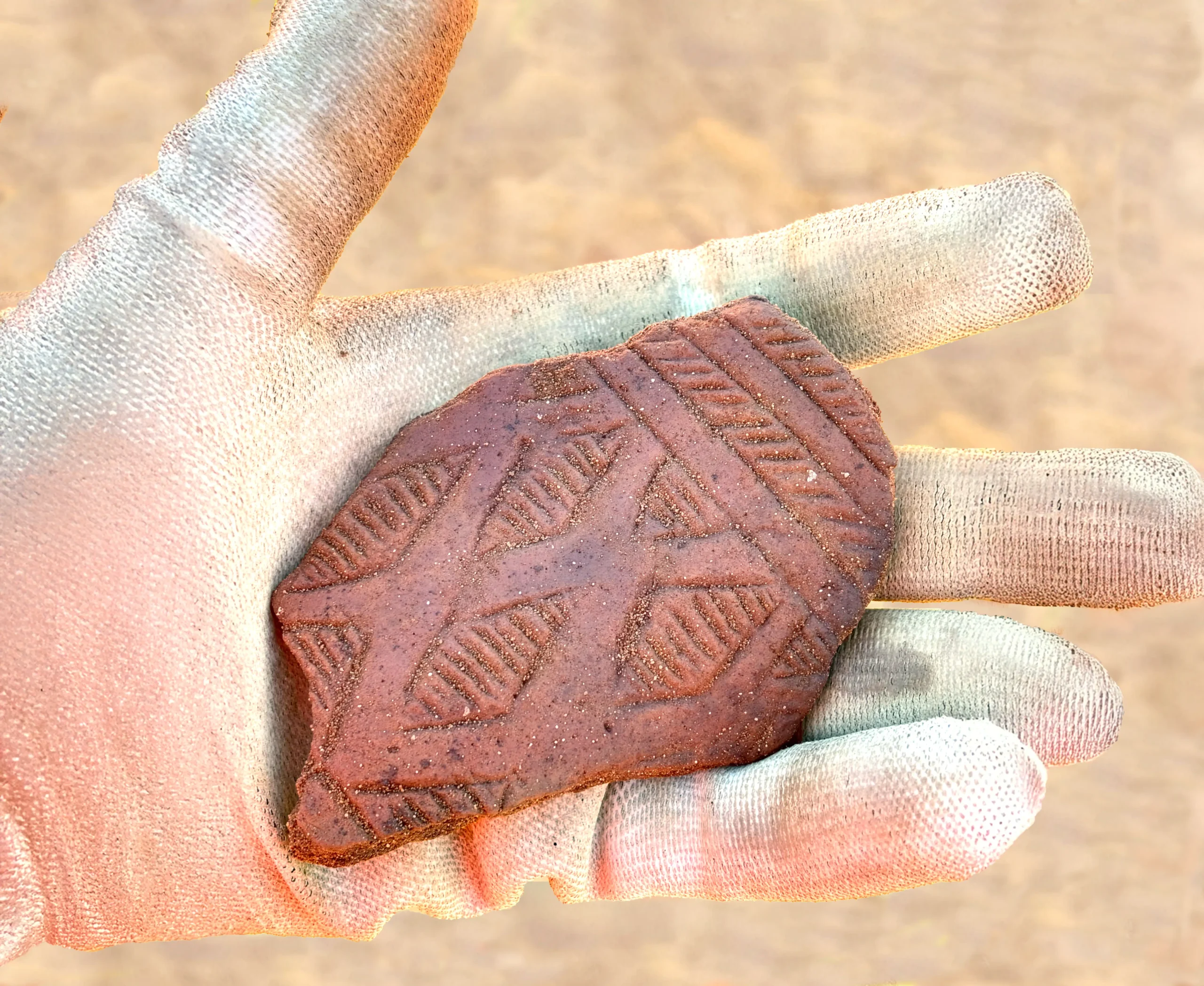 hand in a pale glov holding a pottery sherd with diamond shaped incised decoration. Beaker pot.