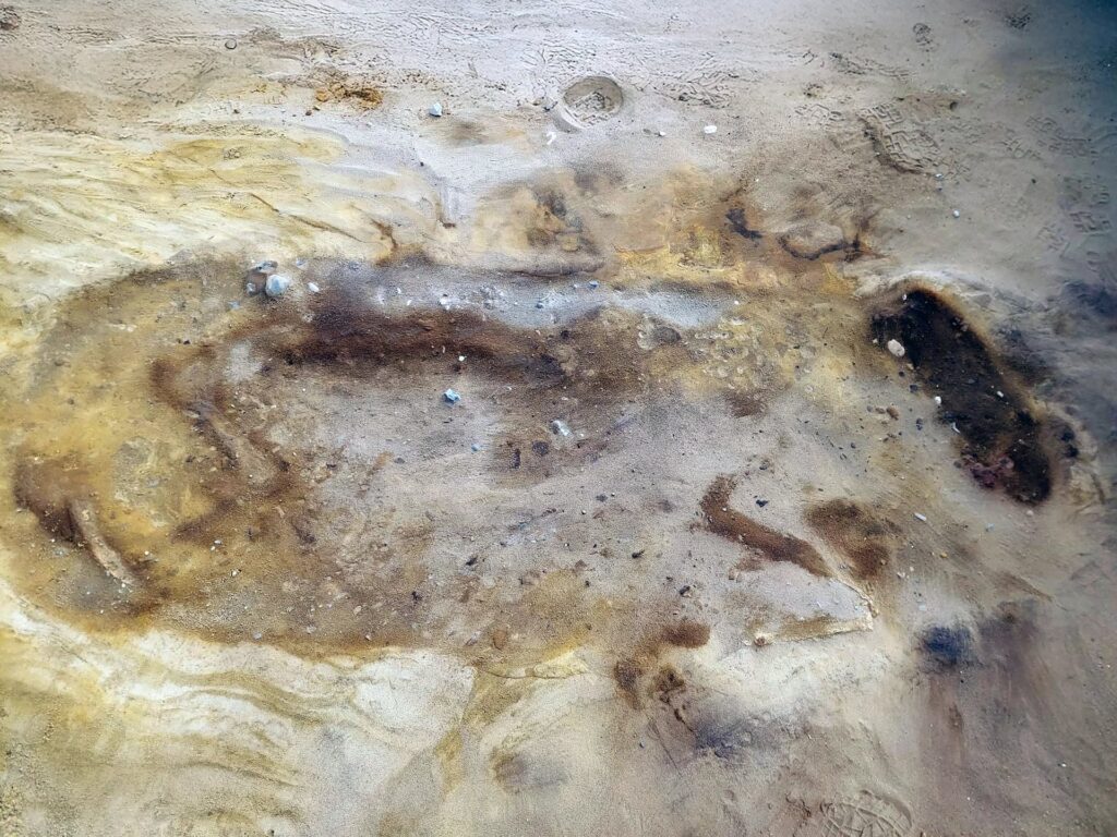 sand with dark shape of a horse