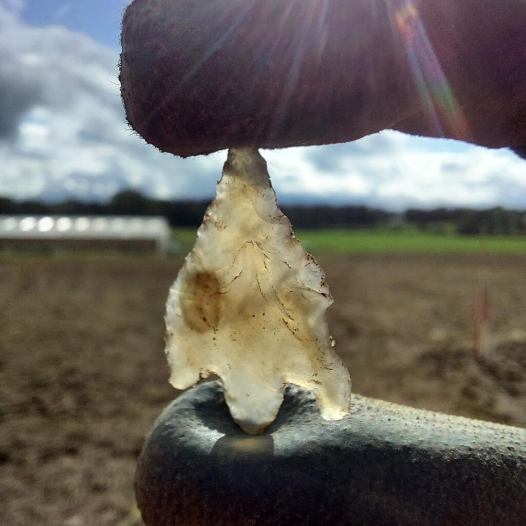 Archaeologist holding bronze age arrow head up to the sky