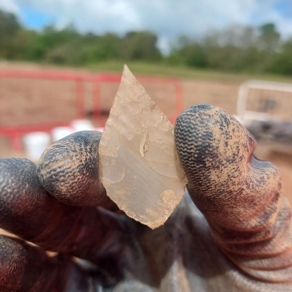 Archaeologist wearing gloves, holding early neolithic leaf-shaped arrowhead