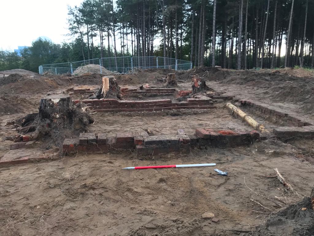 Partially excavated brick foundations in a rectangular layout within a wooded area. There are large tree stumps inside and around the structure. A red and white measuring rod lies in front a metal fence sit in the background.
