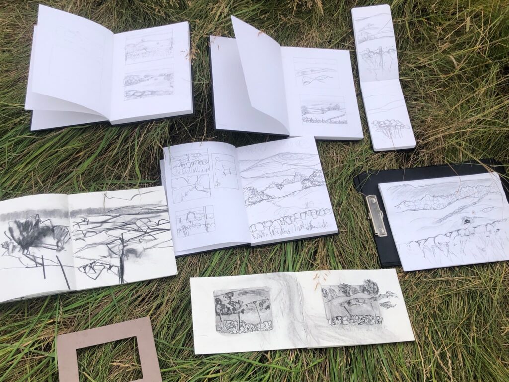 Collection of sketchbooks laid out on grass with completed pieces