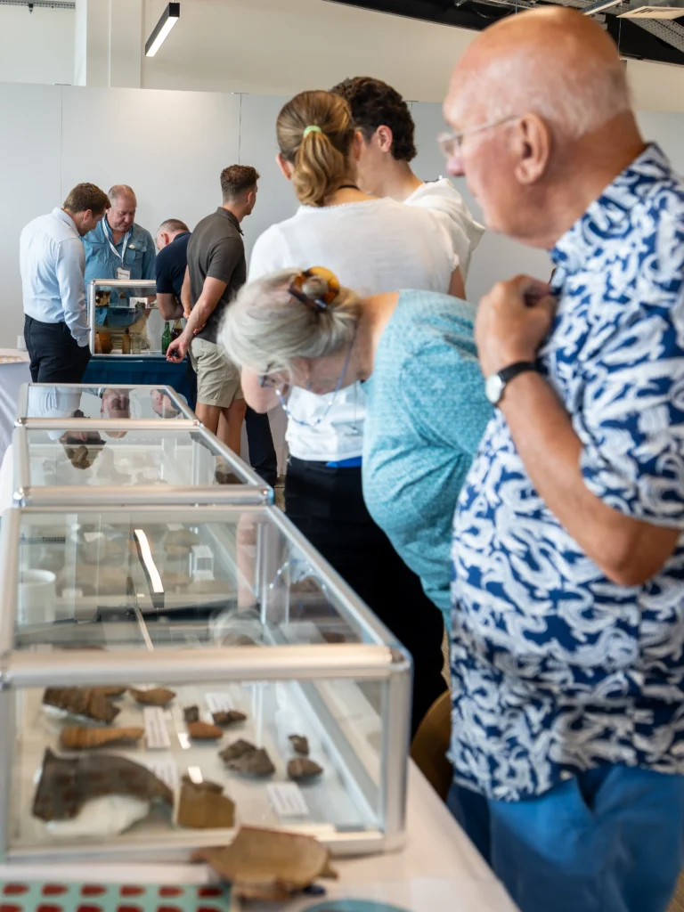Visitors looking at finds in display cases
