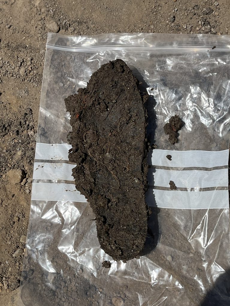 Roman shoe laying on a finds bag covered in dirt